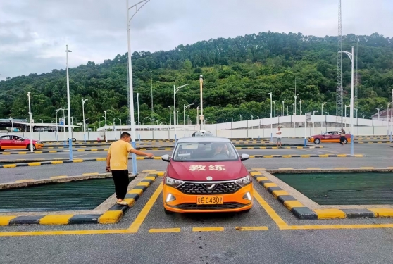教练指导